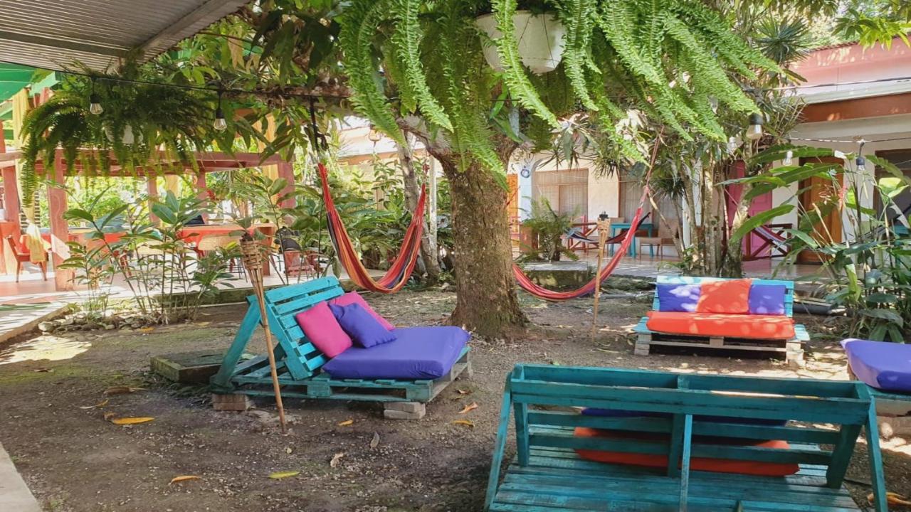 Cabinas Palmer Makanda Кауита Экстерьер фото